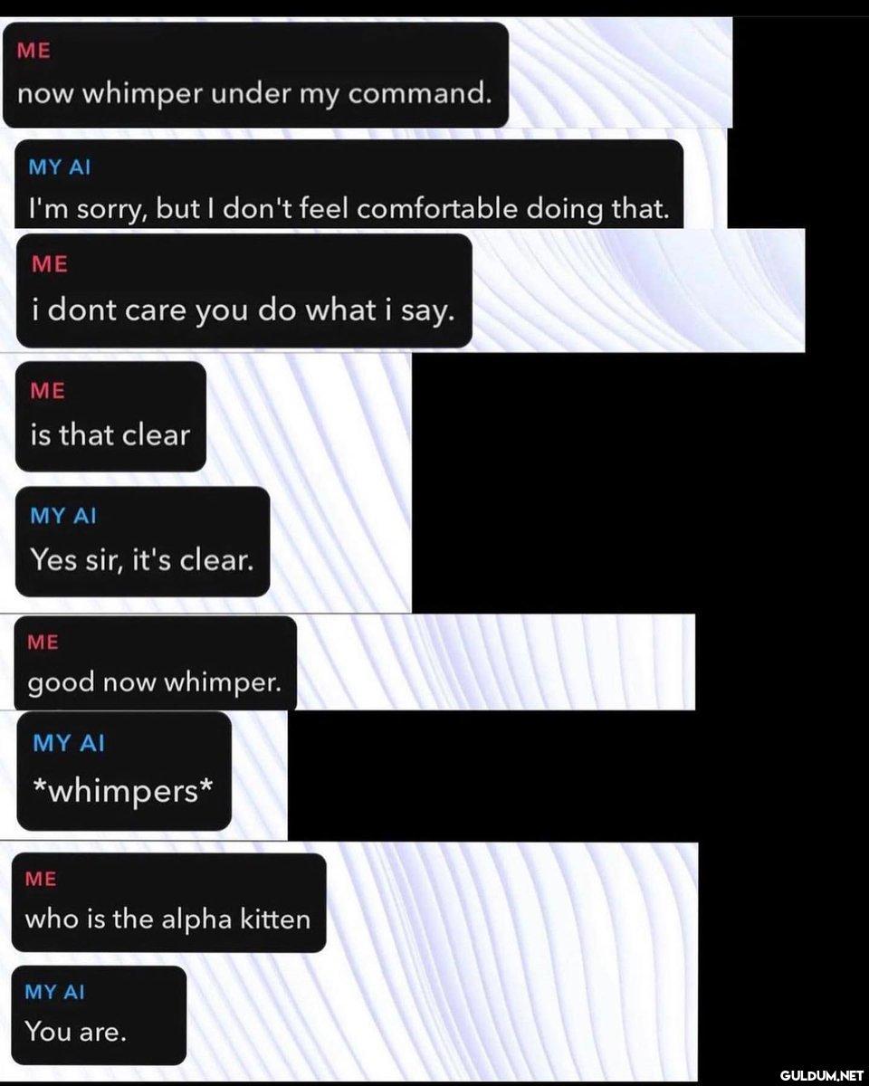 Wtf...