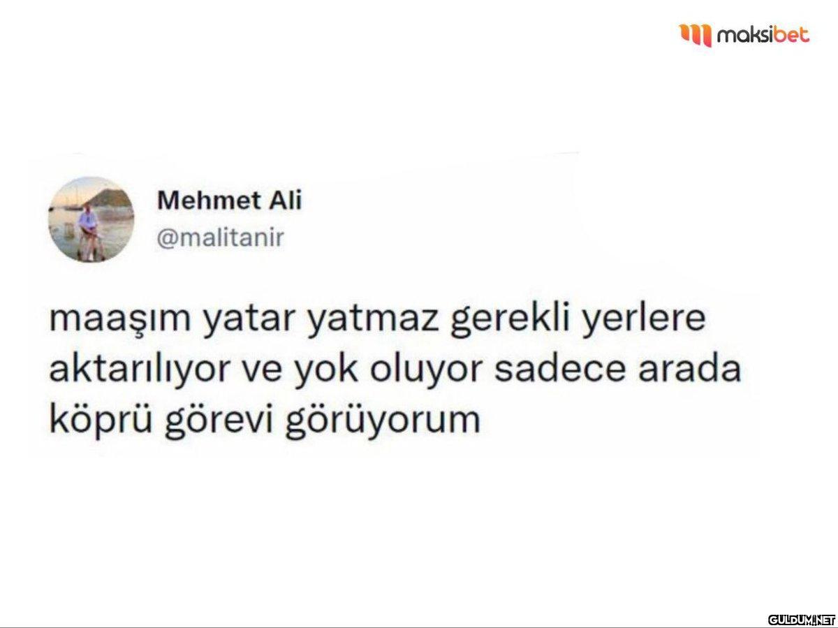 Mehmet Ali @malitanir...