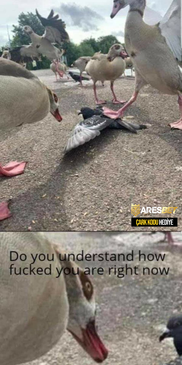 ARESE ÇARK KODU HEDİYE Do...