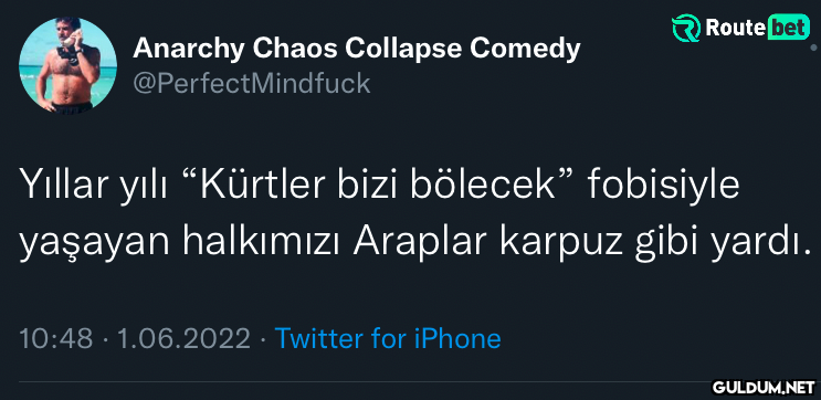 Anarchy Chaos Collapse...