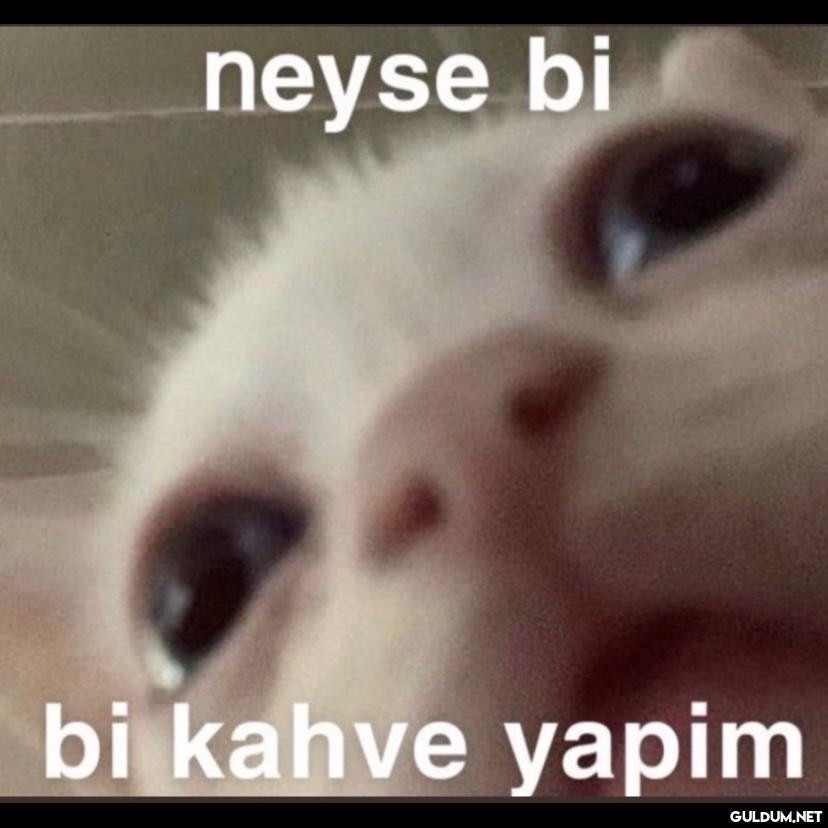 neyse bi bi kahve yapim   Kaynak