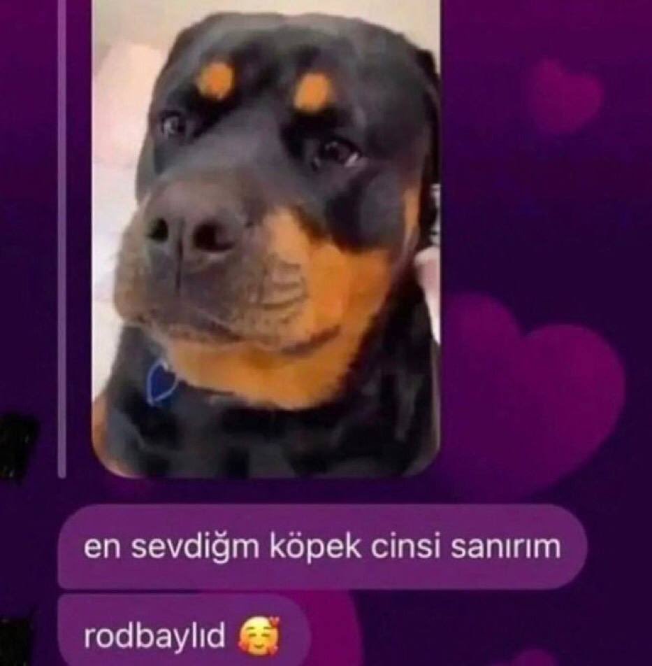 Günaydın...