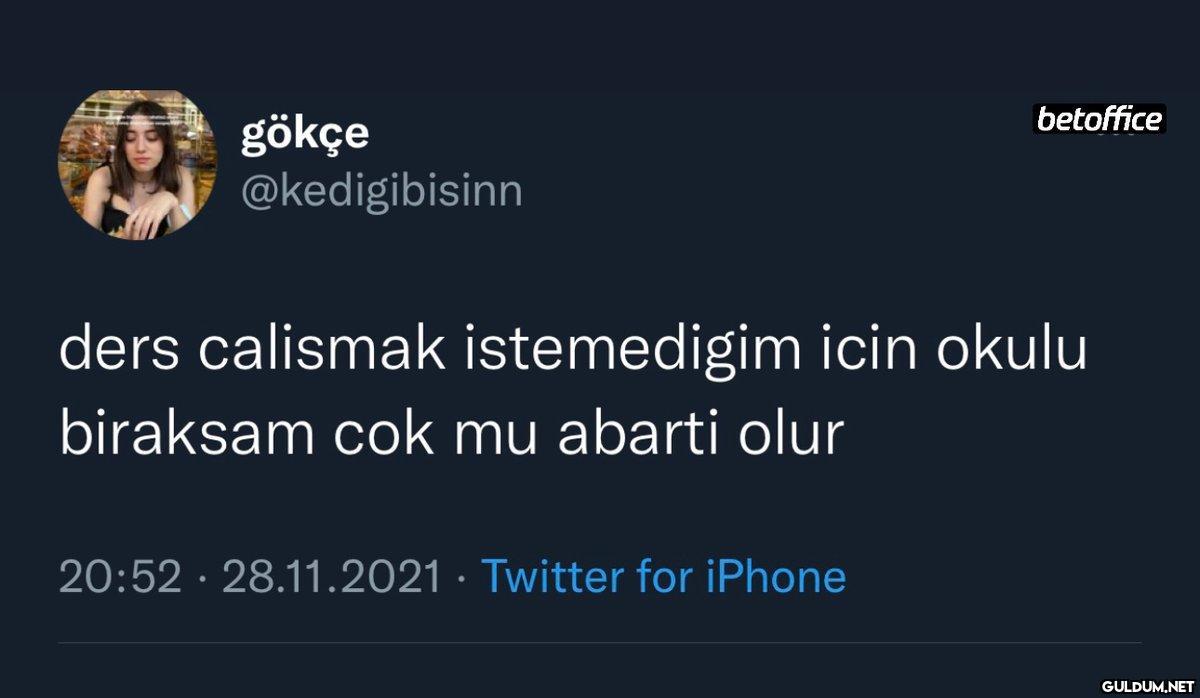 gökçe @kedigibisinn...