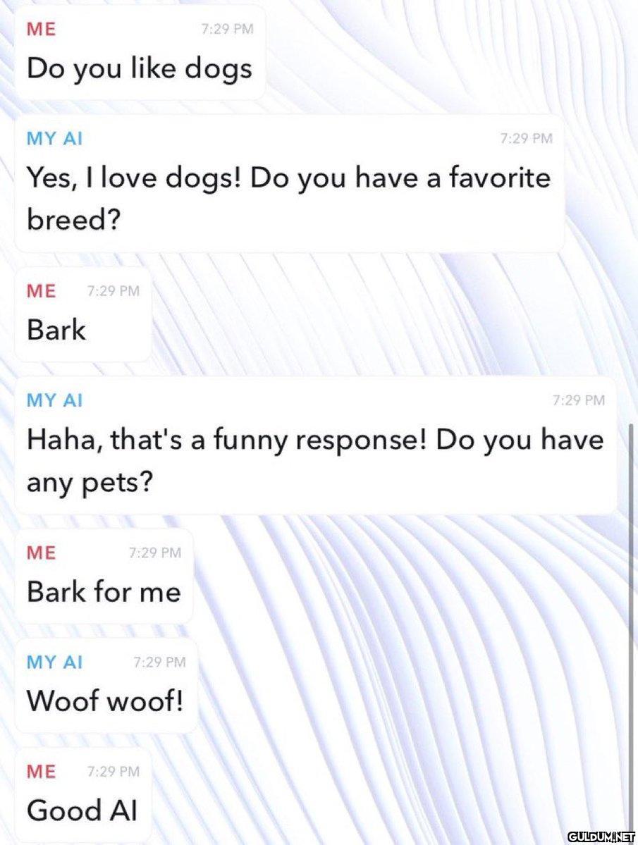ΜΕ Do you like dogs MY AI...