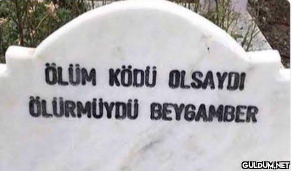 ÖLÜM KÖDÜ OLSAYDI...