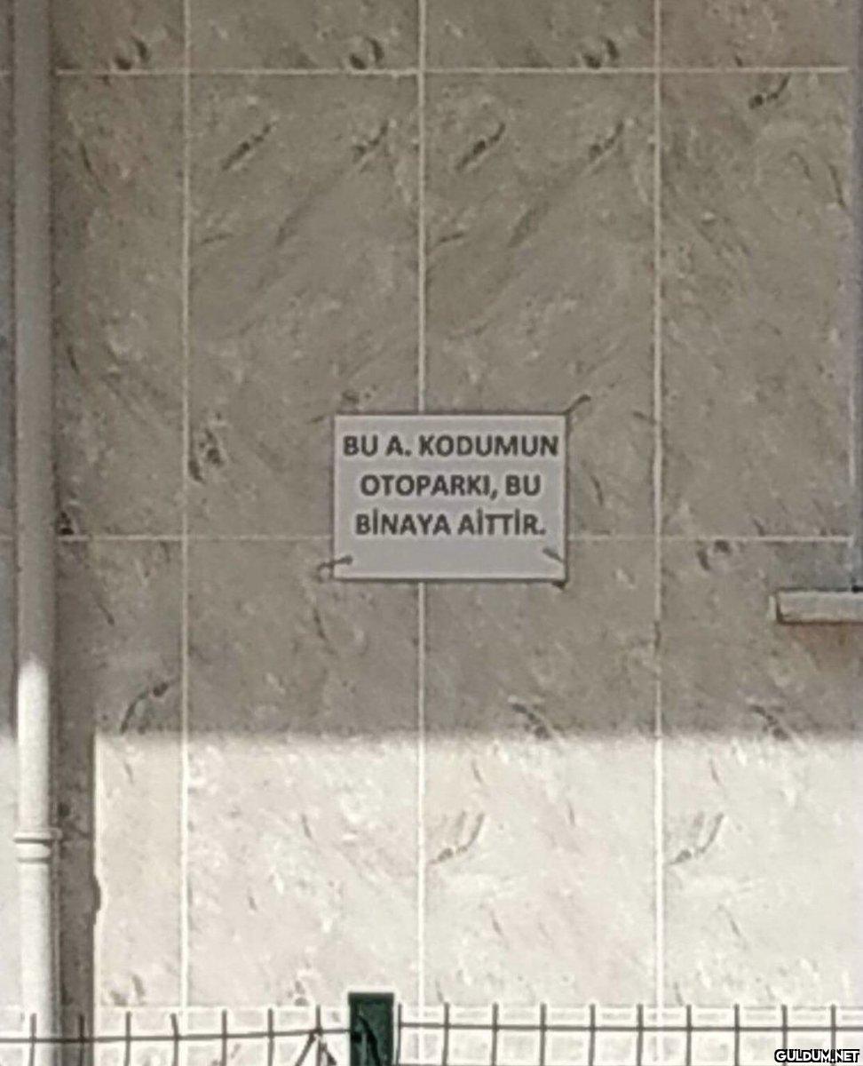 https://t.co/rZ1arRHbca  ...