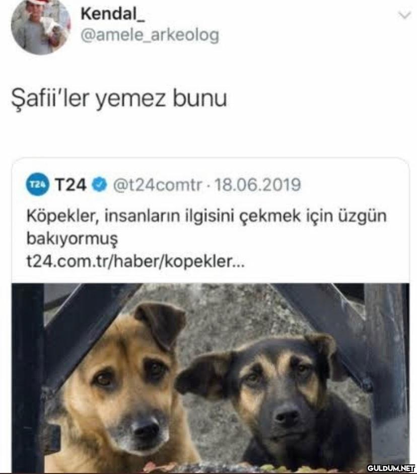 Kendal @amele arkeolog...