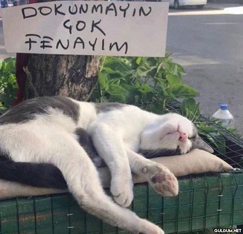 DOKUNMAYIN GOK FENAYIM   Kaynak