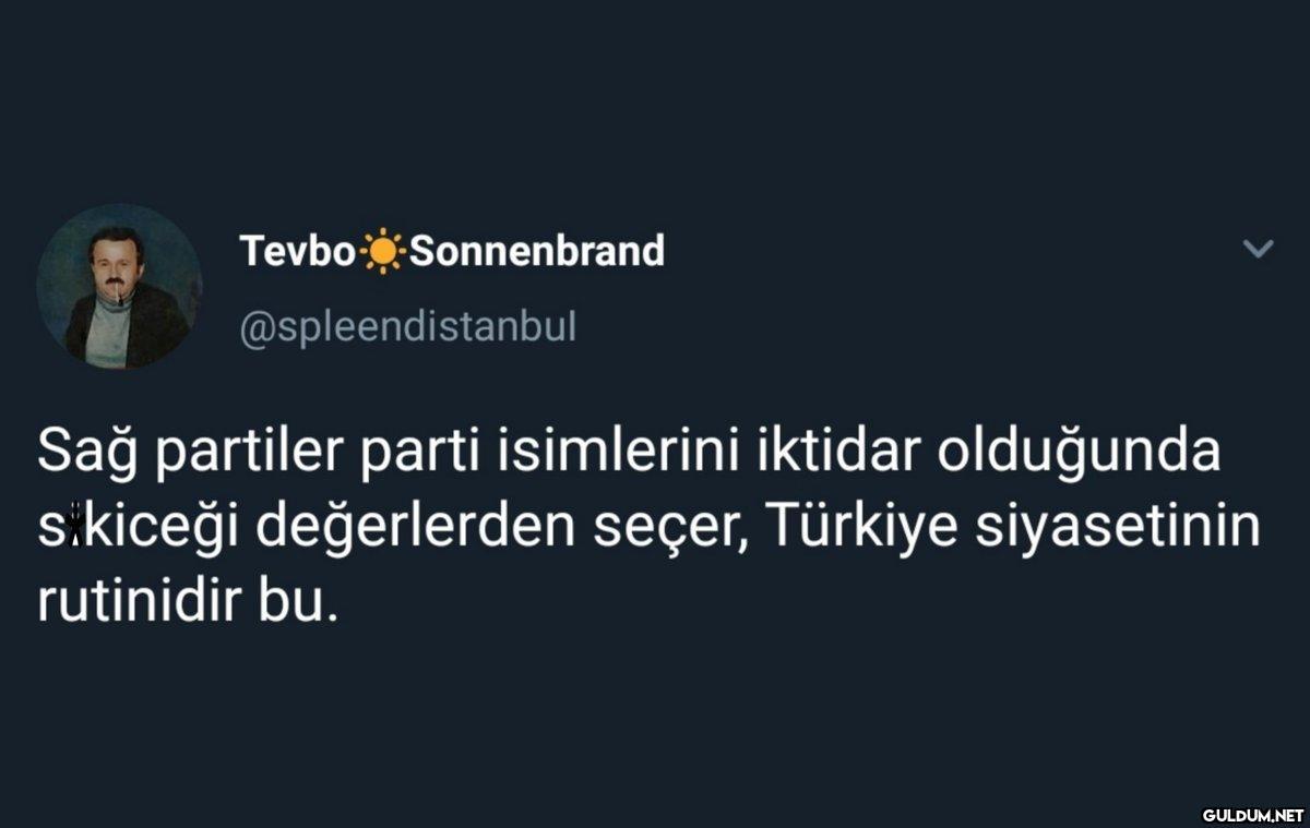 Tevbo-Sonnenbrand...