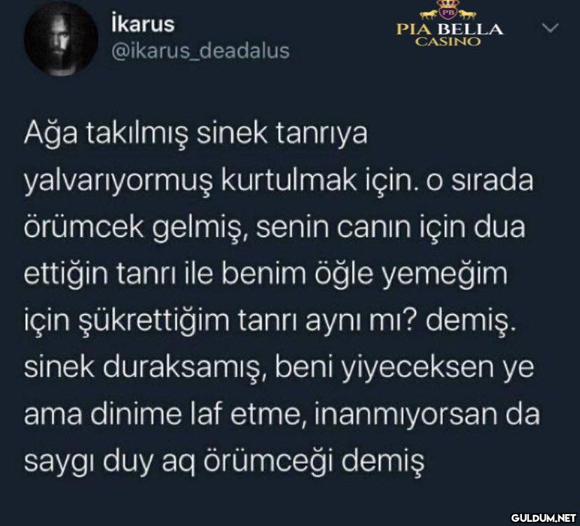İkarus @ikarus_deadalus...