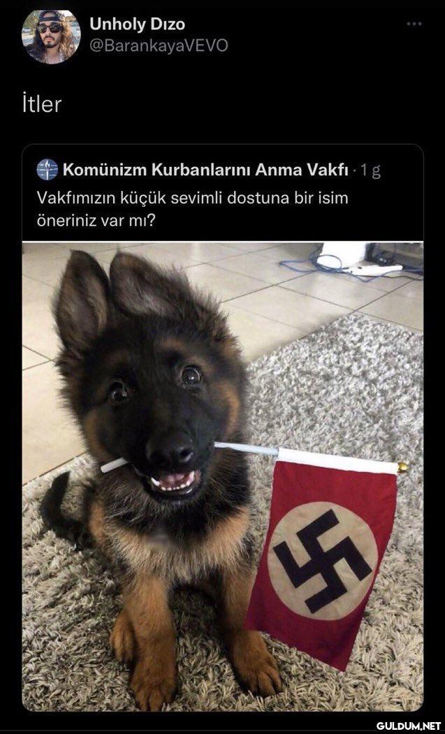 İtler Unholy Dizo...