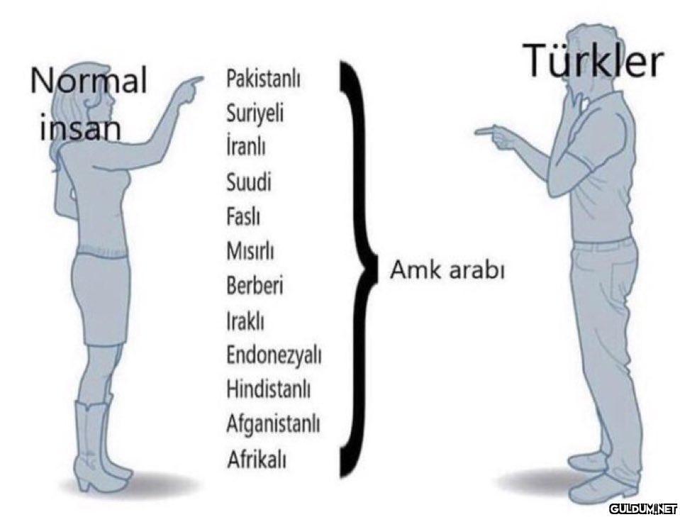 Normal insan Pakistanlı...