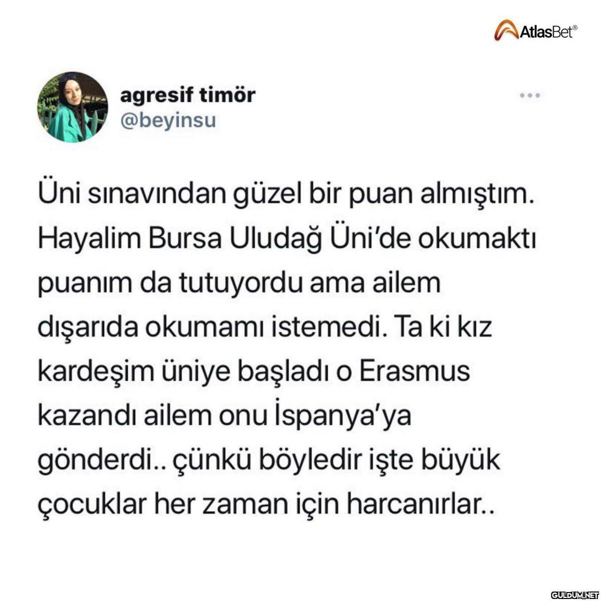 agresif timör @beyinsu...