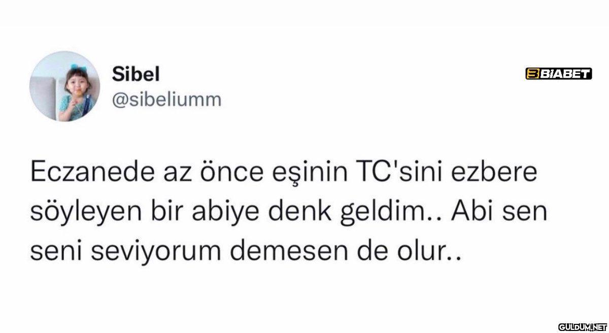 Sibel @sibeliumm SBIABET...
