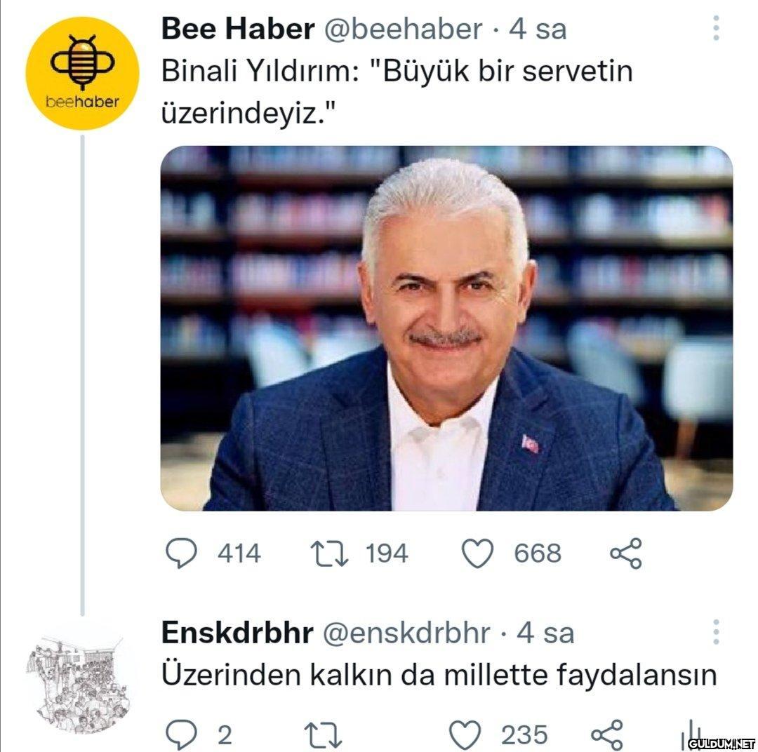 beehaber Bee Haber...