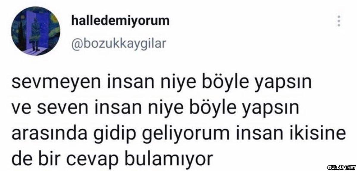 halledemiyorum...
