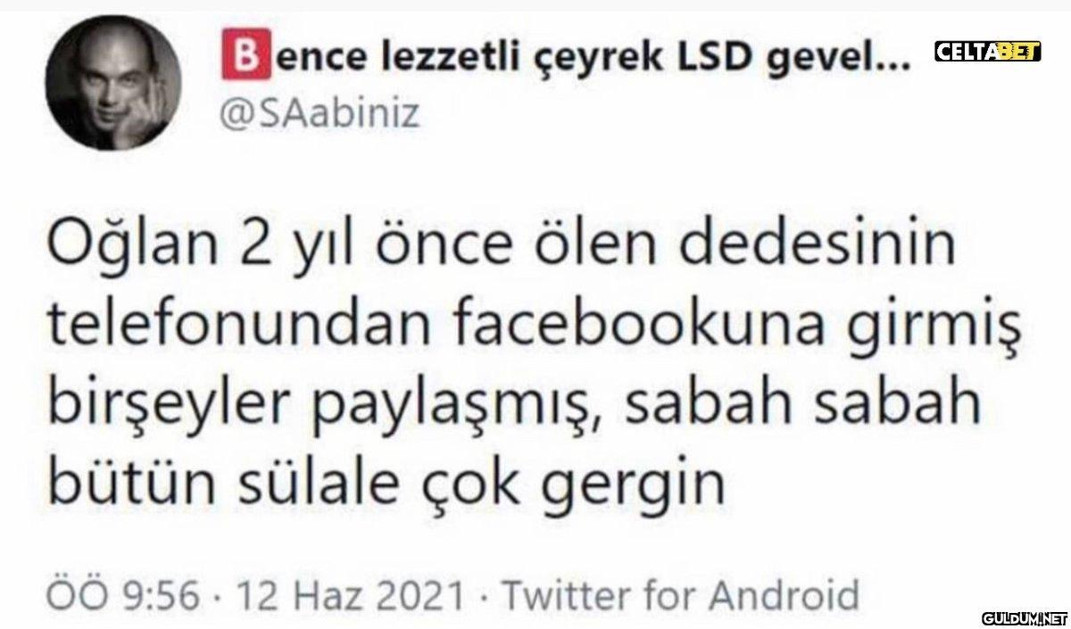 Bence lezzetli çeyrek LSD...