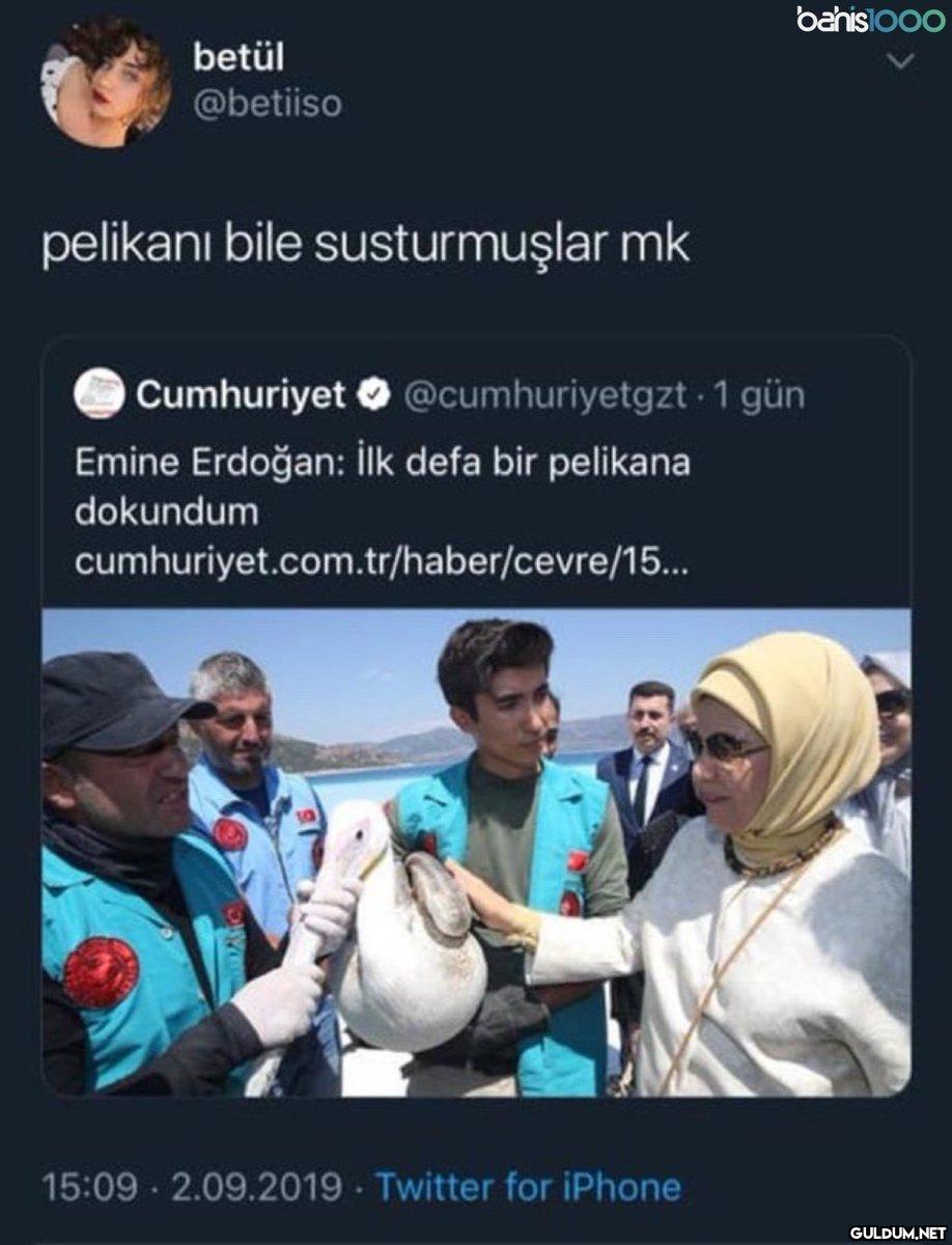 betül @betiiso pelikani...