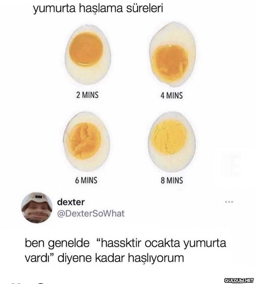 yumurta haşlama süreleri 2...