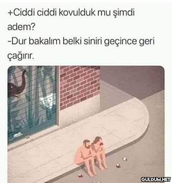 +Ciddi ciddi kovulduk mu...