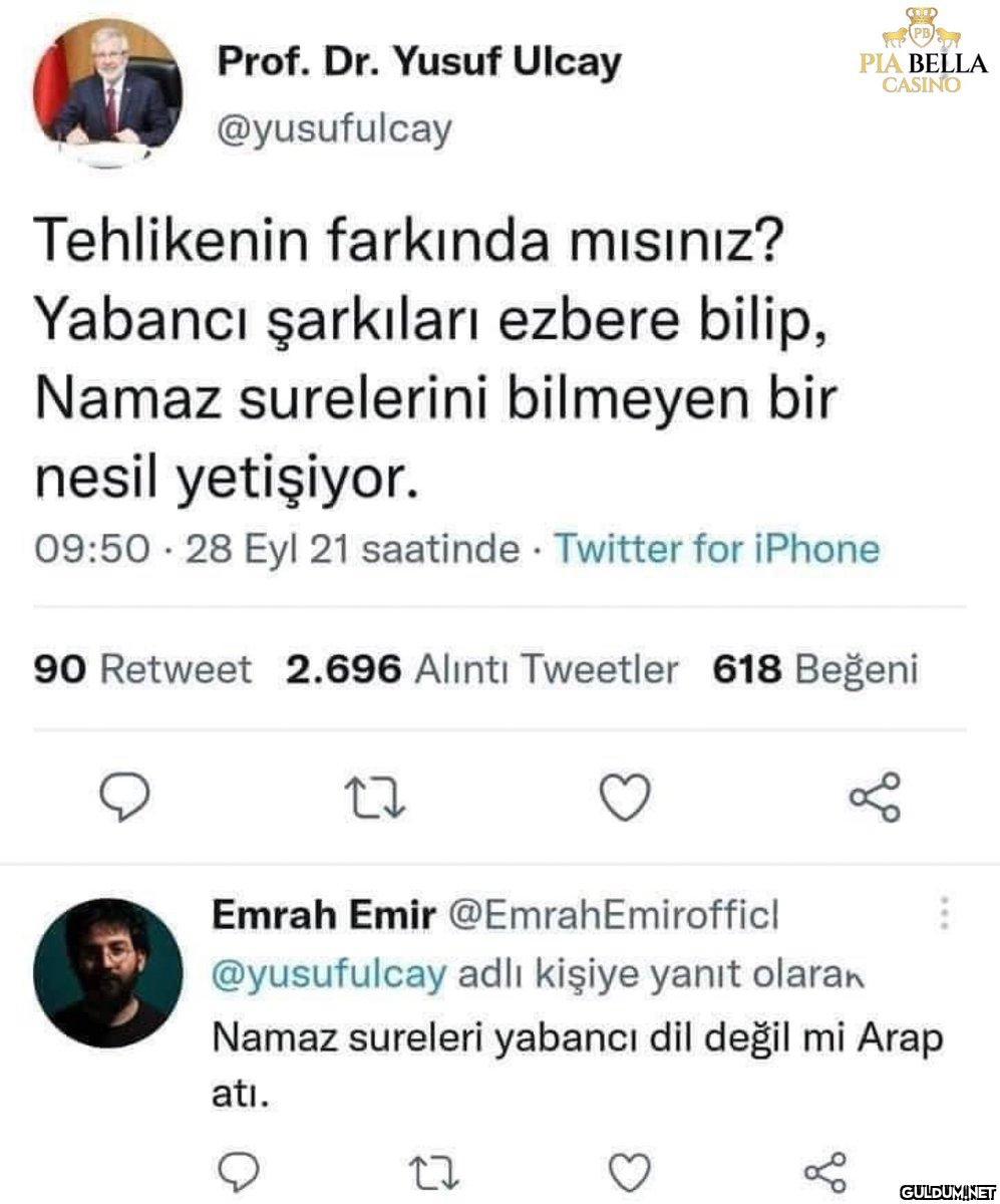 Prof. Dr. Yusuf Ulcay...