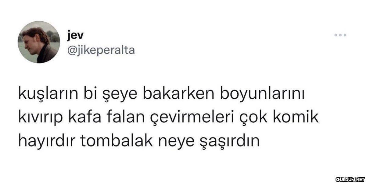 jev @jikeperalta kuşların...