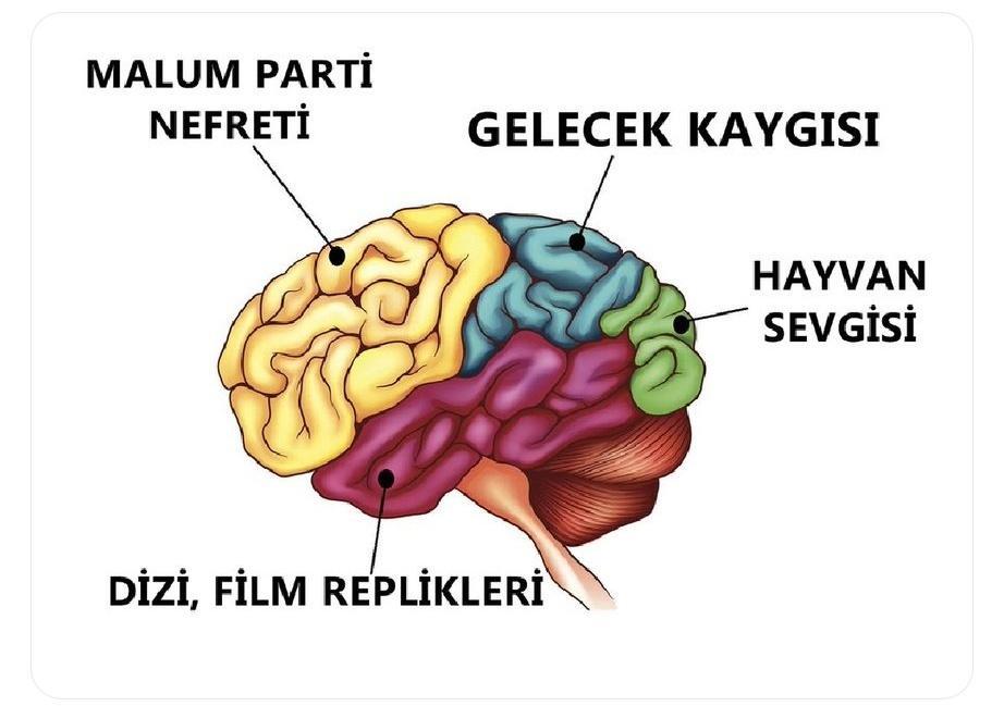 https://t.co/o2Crm67Ckm  ...