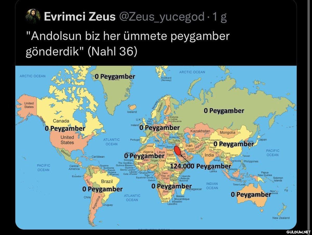 Evrimci Zeus...
