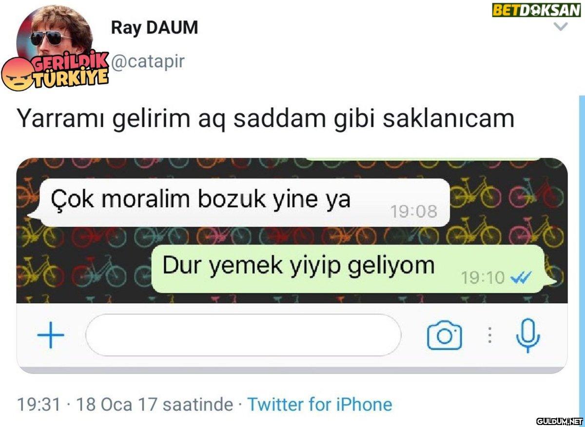 Ray DAUM GERILDIK@catapir...