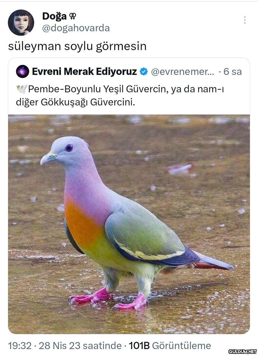 Doğa Ⓡ @dogahovarda...