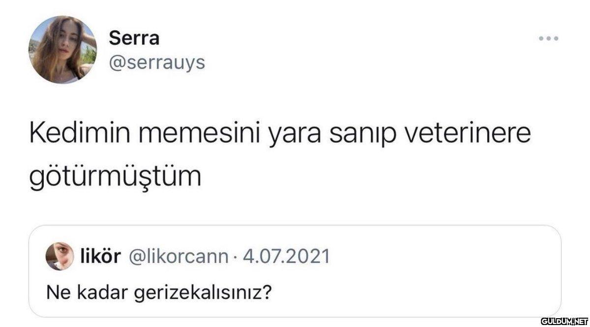Serra @serrauys Kedimin...