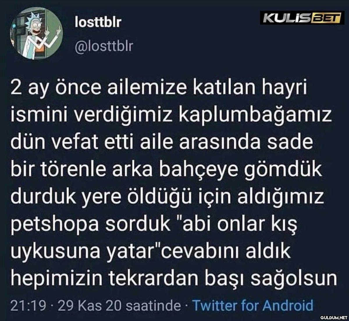 losttblr @losttblr...