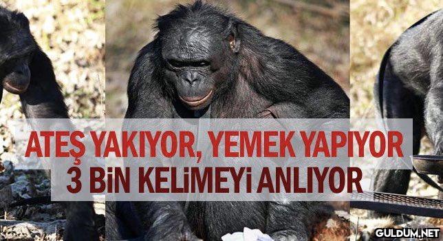 https://t.co/kKQVeXXHWD  ...