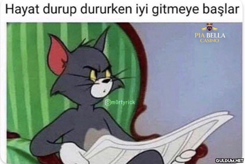 Hayat durup dururken iyi...