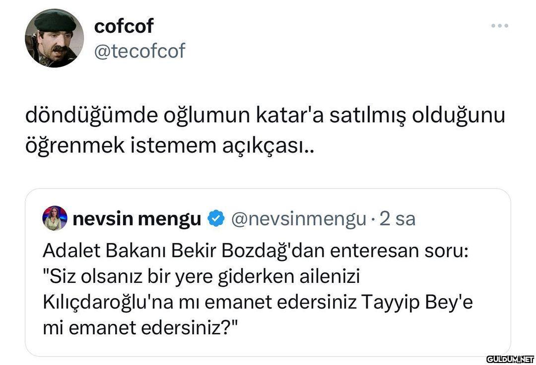cofcof @tecofcof...