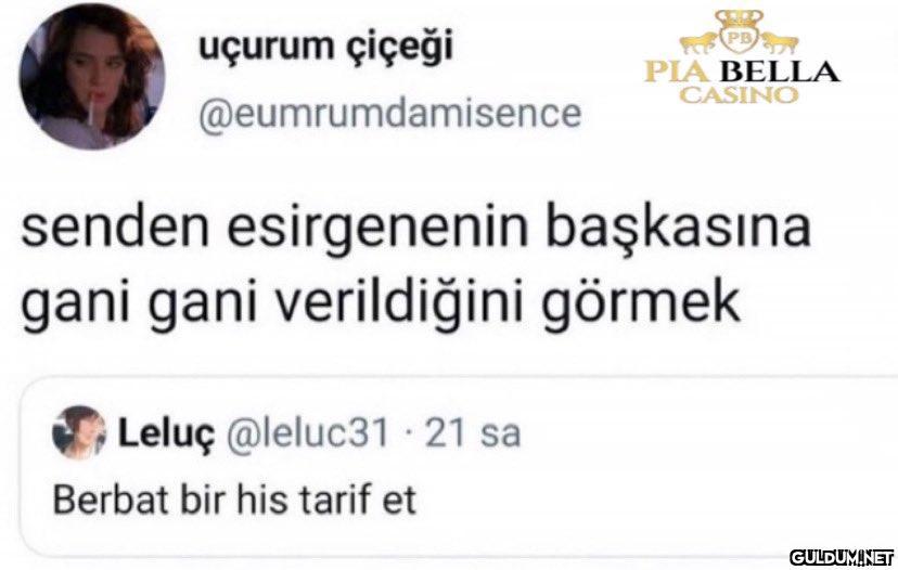 https://t.co/3JIimnGH55  ...
