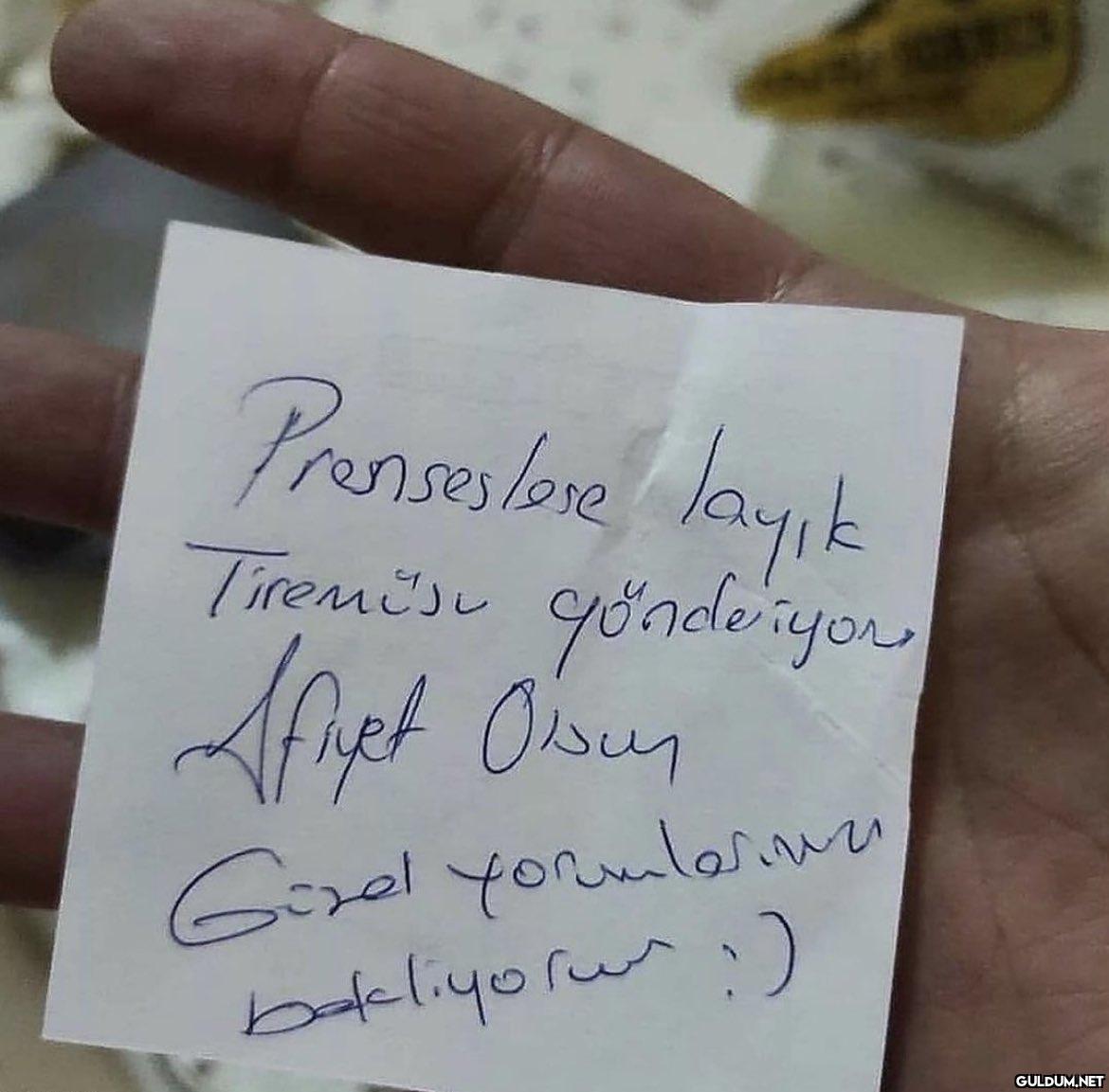 Sipariş Notu 4 prenses...