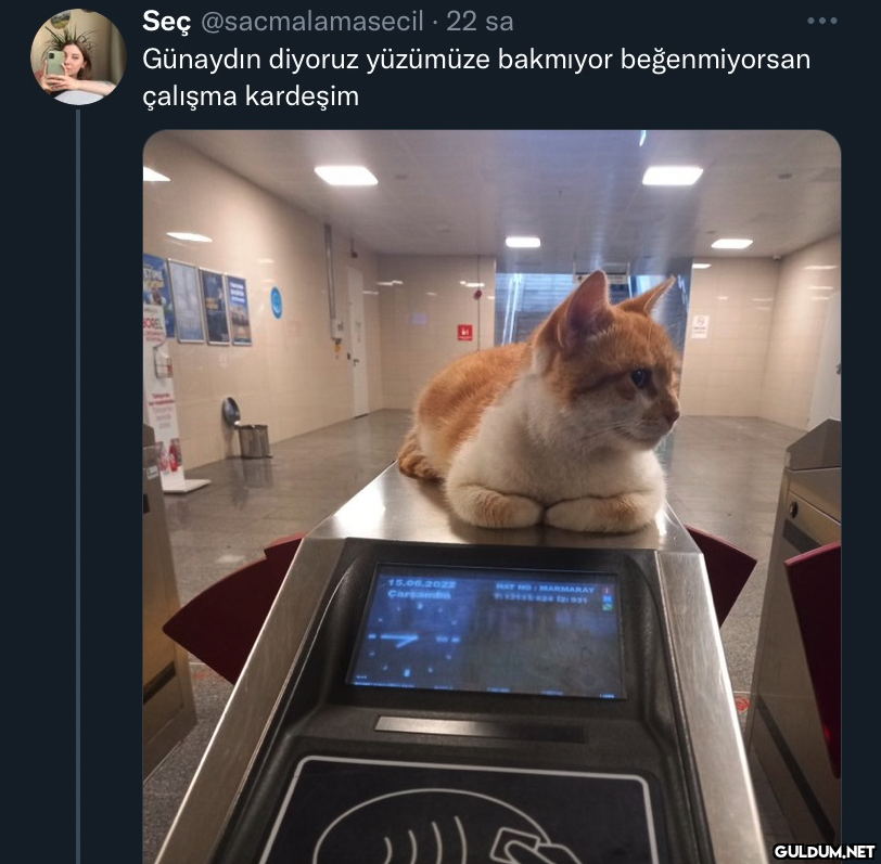Seç @sacmalamasecil . 22...