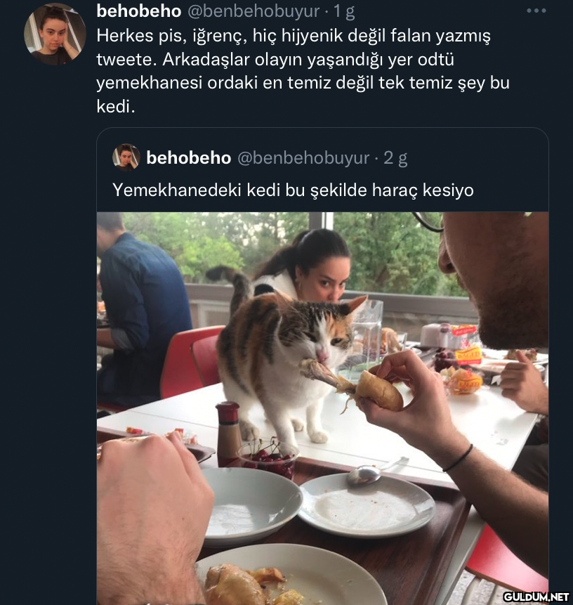 behobeho @benbehobuyur. 1g...