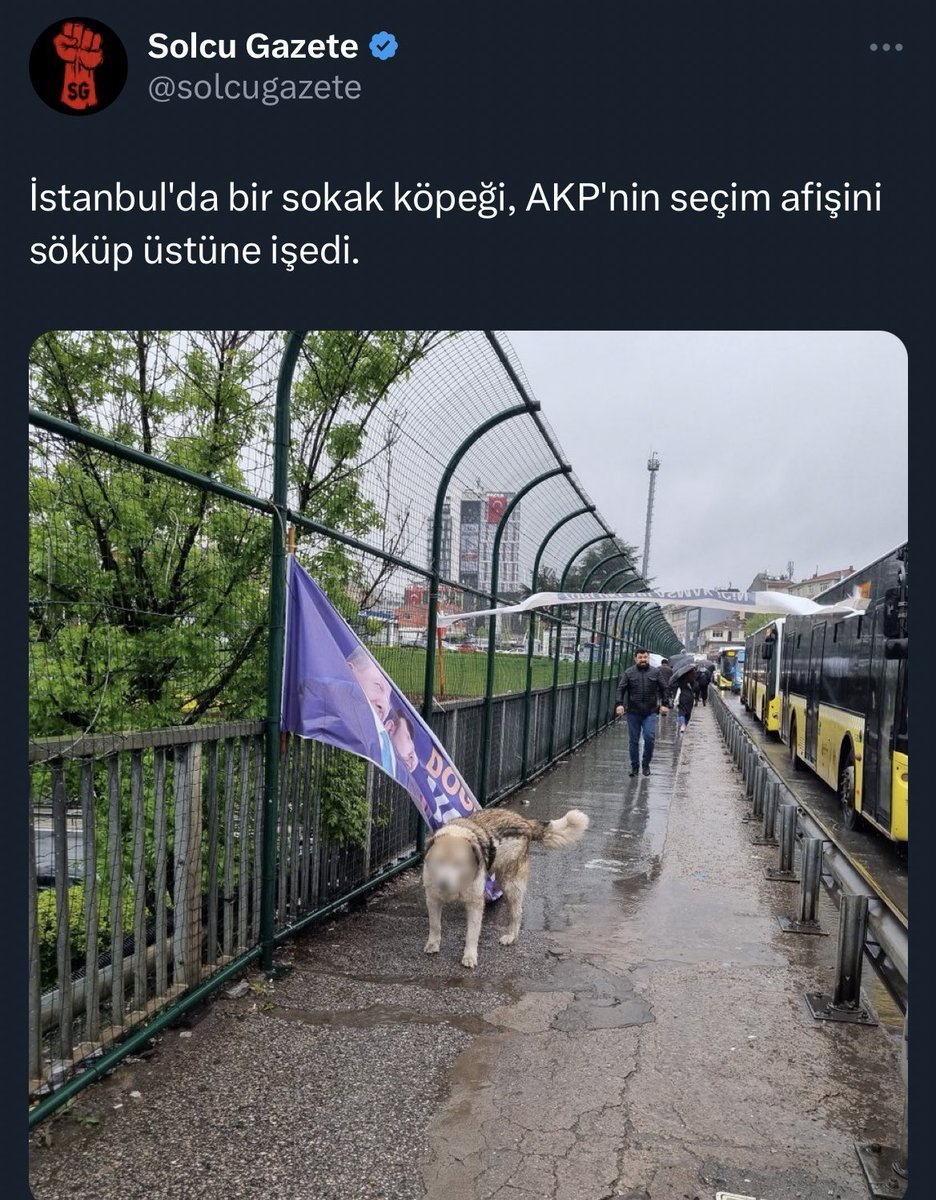 Köpeği bulamasınlar diye...
