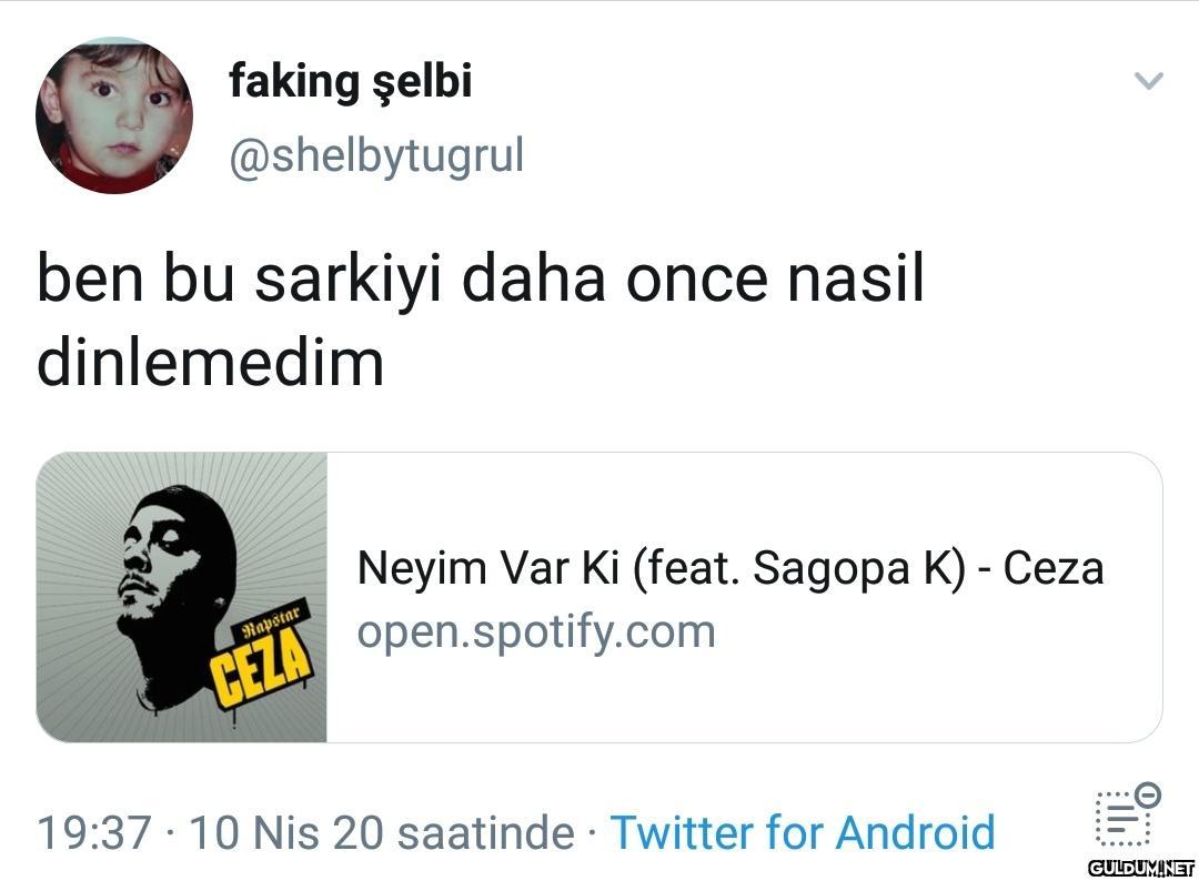 faking şelbi @shelbytugrul...