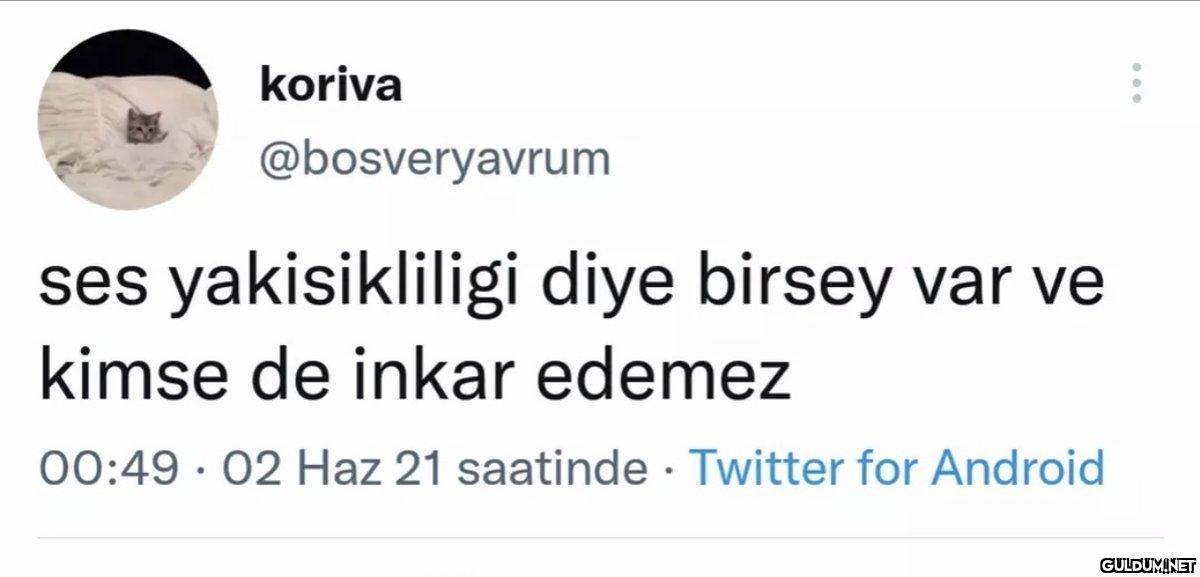 koriva @bosveryavrum ses...