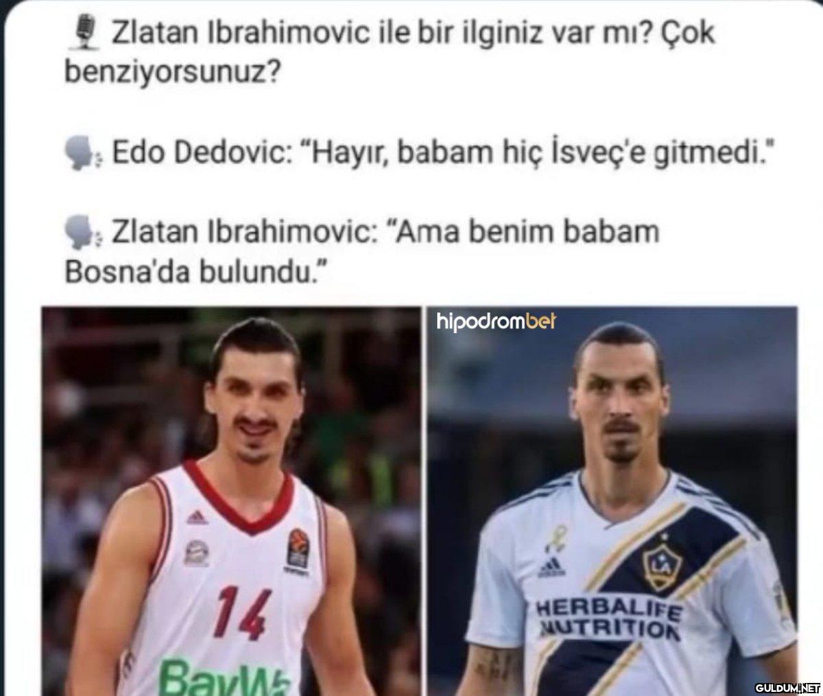 Haydaaa...