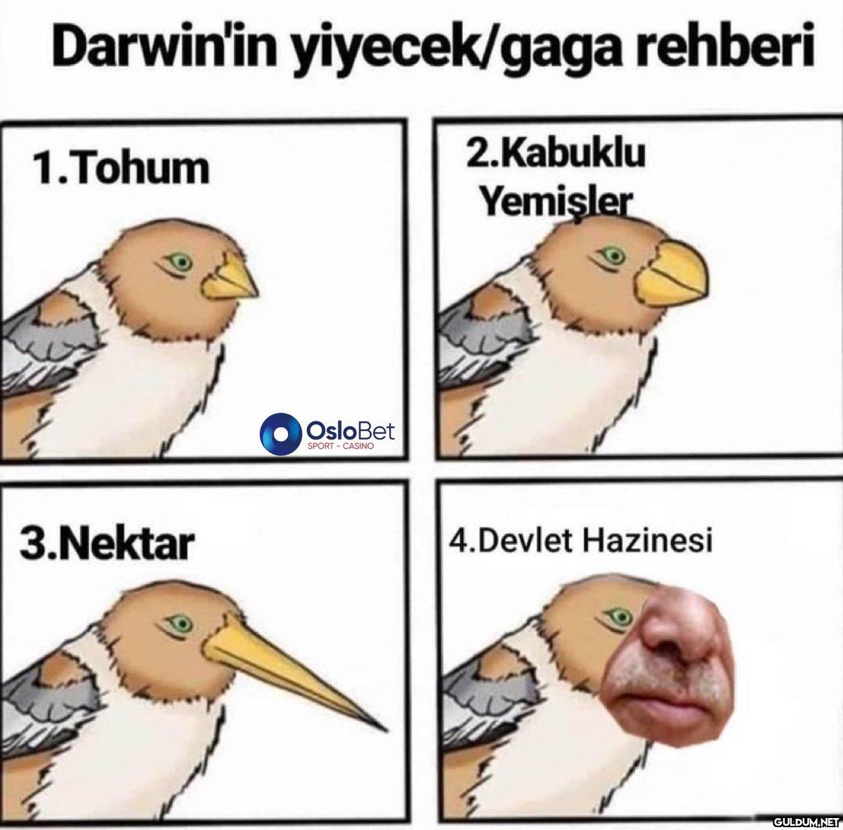 Darwin'in yiyecek/gaga...