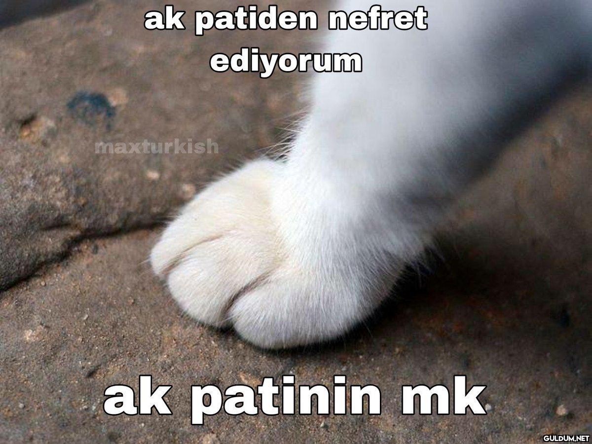 ak patiden nefret ediyorum...