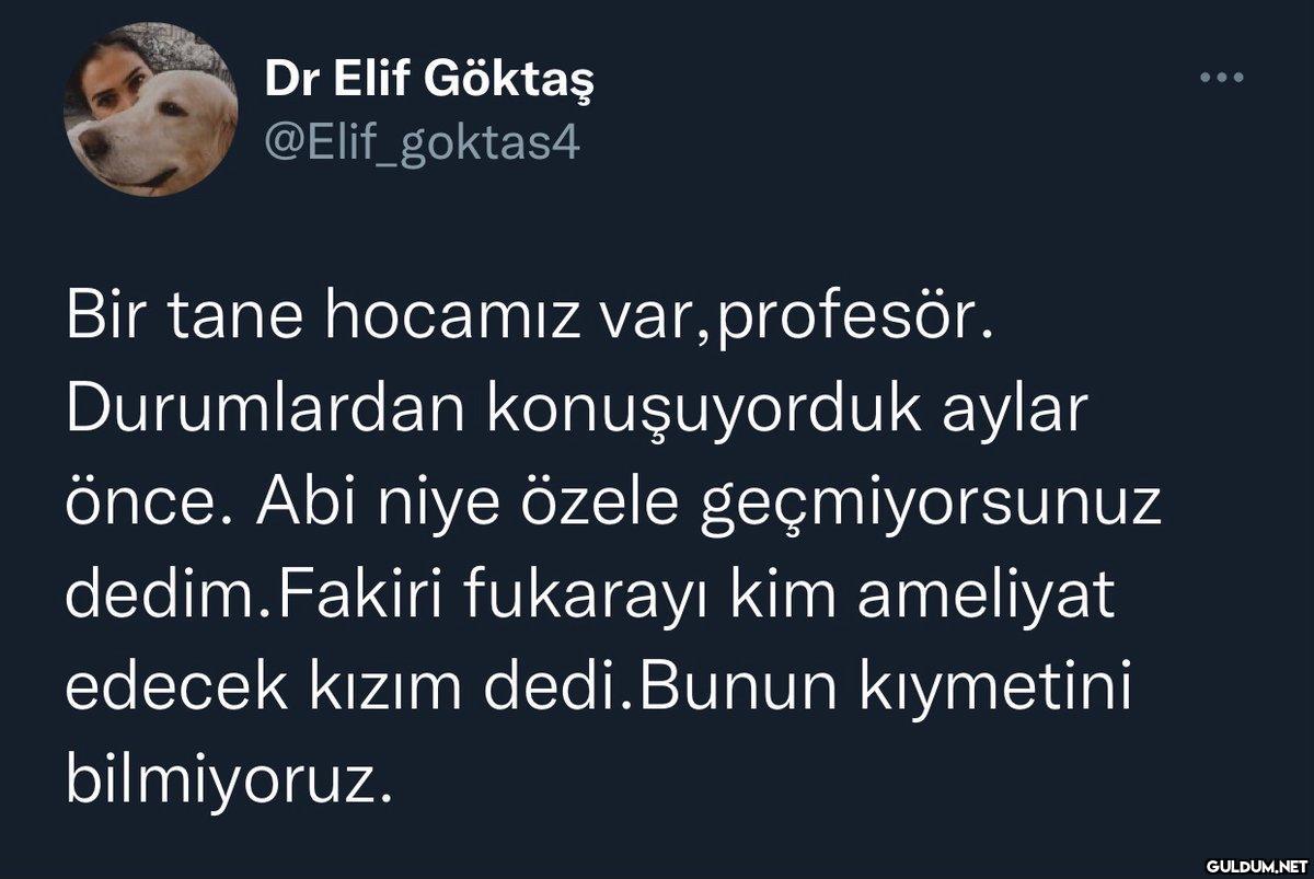 Dr Elif Göktaş...