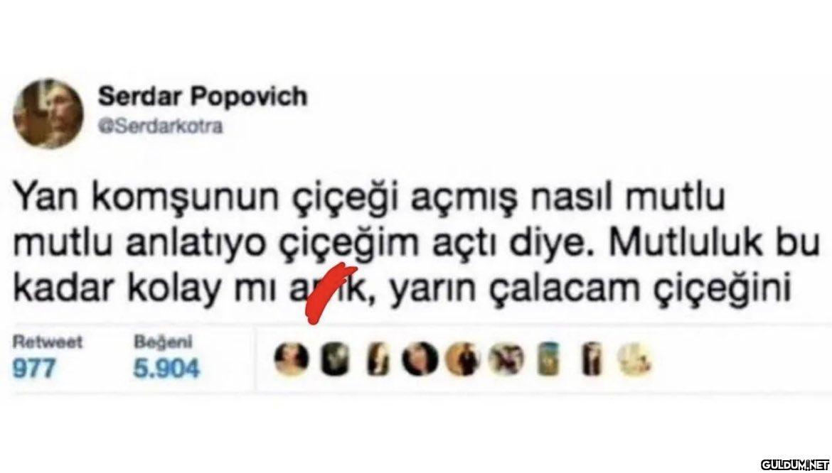 Serdar Popovich...