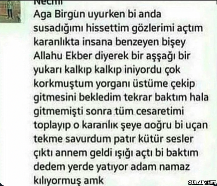 Te Ch Aga Birgün uyurken...