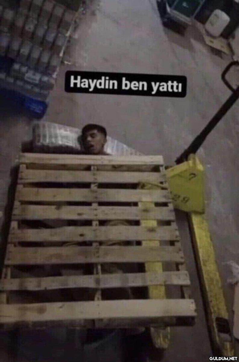 Haydin ben yattı   Kaynak