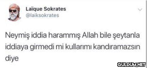 Laïque Sokrates...